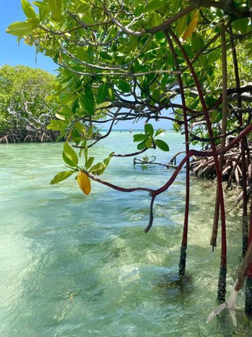 Ferienwohnung Les Pieds Dans L'Eau Chez Syl Le Moule Exterior foto