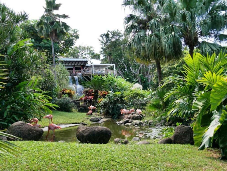 Ferienwohnung Les Pieds Dans L'Eau Chez Syl Le Moule Exterior foto