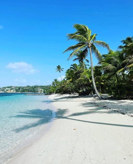 Ferienwohnung Les Pieds Dans L'Eau Chez Syl Le Moule Exterior foto