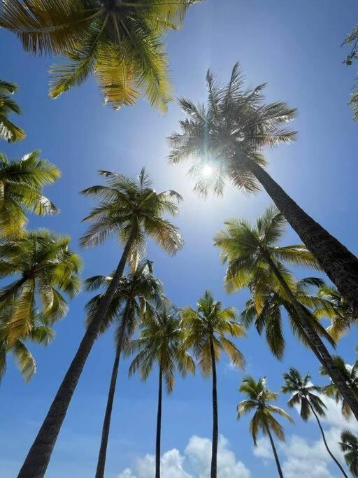 Ferienwohnung Les Pieds Dans L'Eau Chez Syl Le Moule Exterior foto