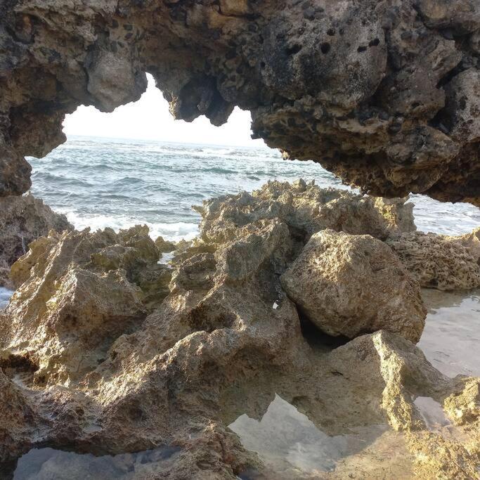 Ferienwohnung Les Pieds Dans L'Eau Chez Syl Le Moule Exterior foto