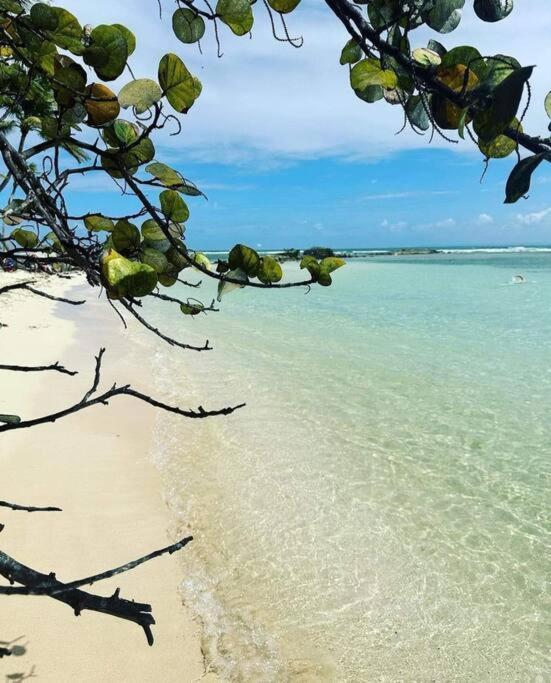 Ferienwohnung Les Pieds Dans L'Eau Chez Syl Le Moule Exterior foto